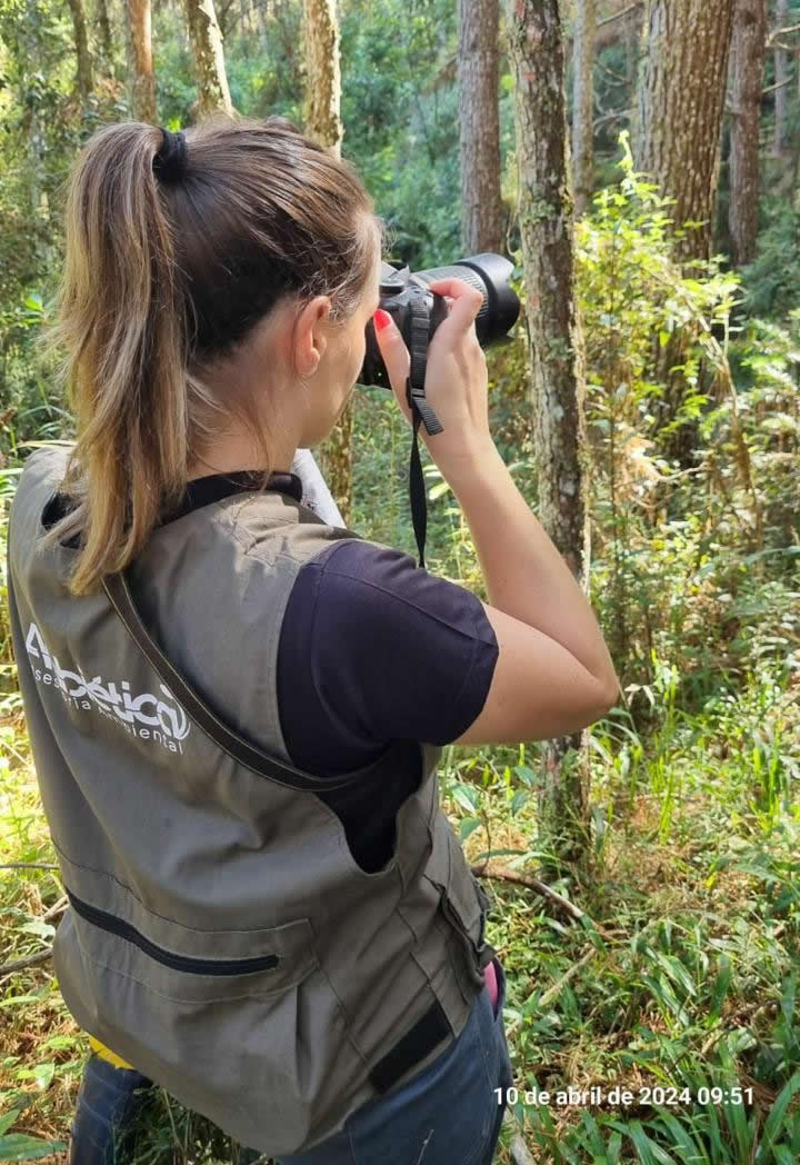 Laudo do Meio Biótico